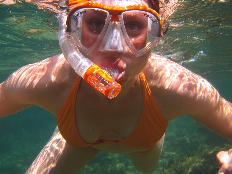 Diving Fins